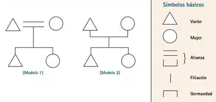 construcción del diagrama de parentesco construcción del diagrama de parentesco